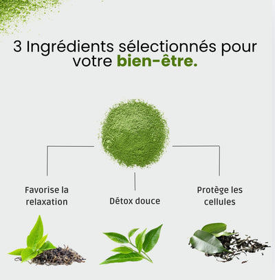 Matcha 100% Pur et Bio