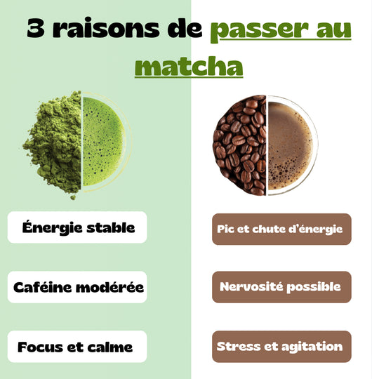 Matcha 100% Pure Bio